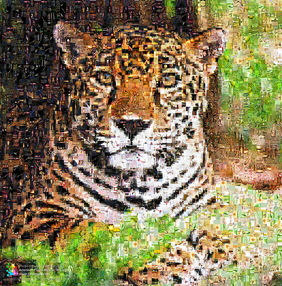 Photo collage example