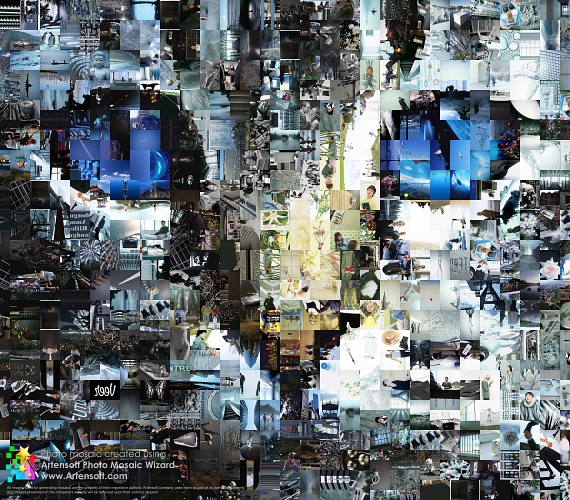 The Cat Photomosaic (Photo collage)