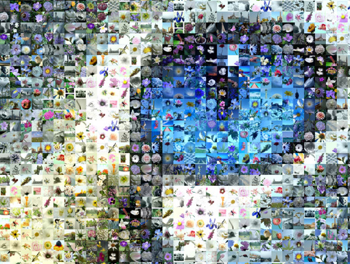 photo mosaic maker download