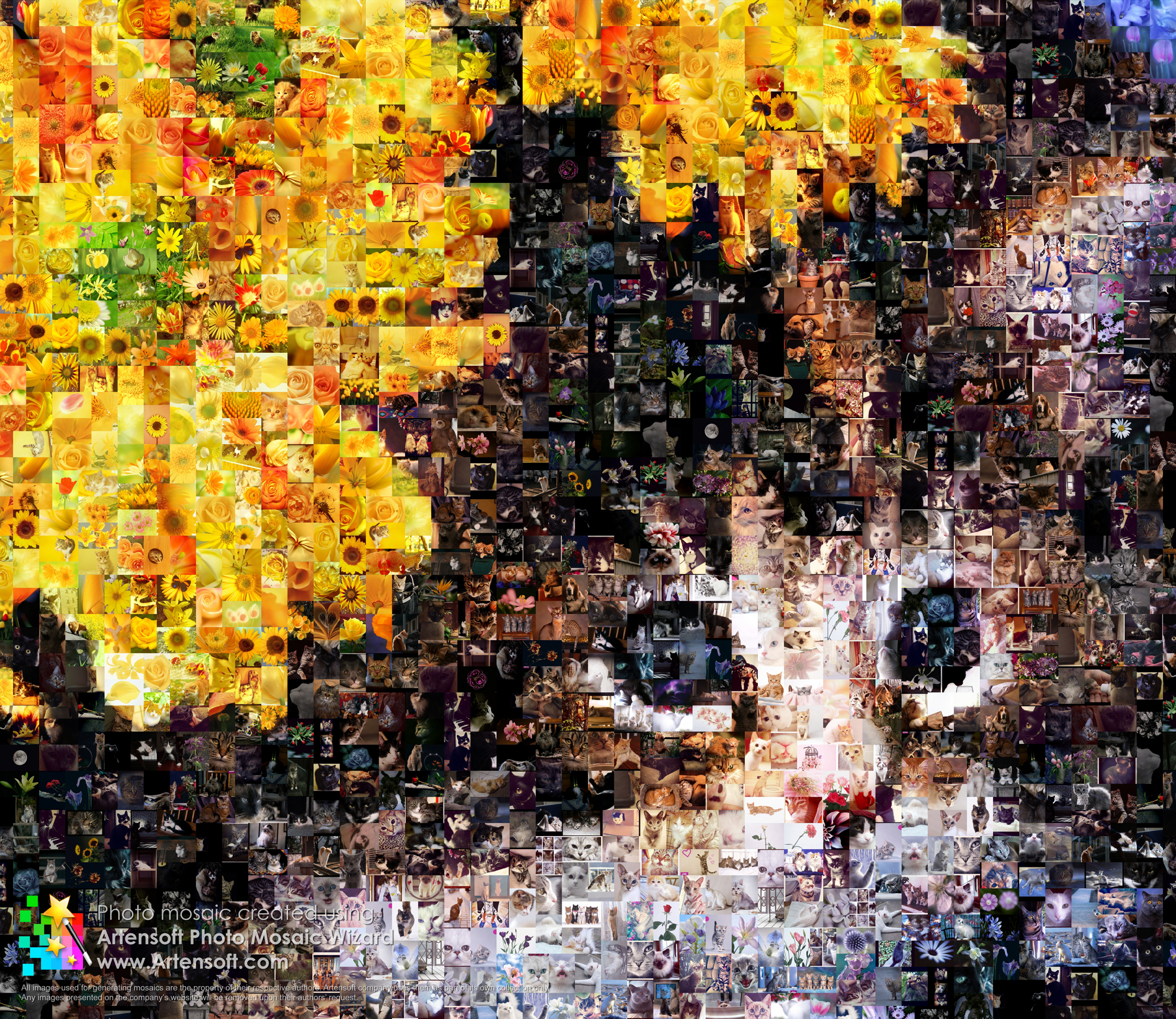 mosaic collage maker free download