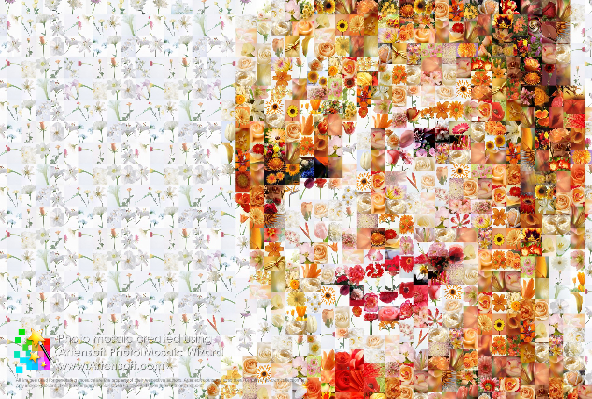 mosaic collage maker free download