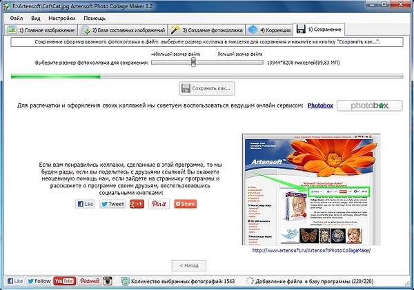 download the vestibular system 1975